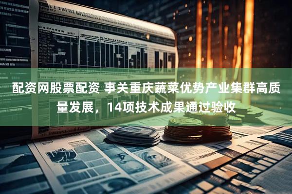 配资网股票配资 事关重庆蔬菜优势产业集群高质量发展，14项技术成果通过验收