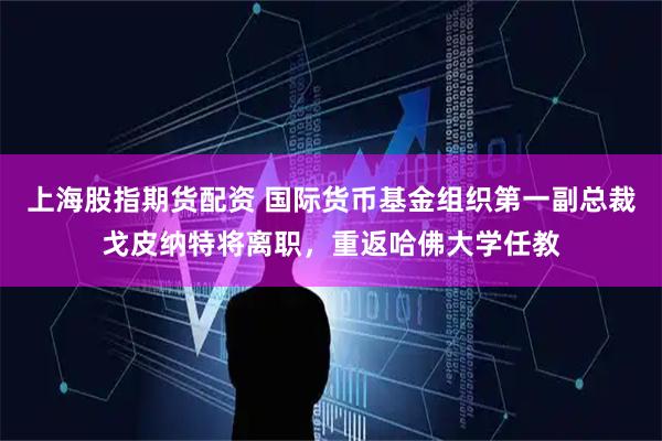 上海股指期货配资 国际货币基金组织第一副总裁戈皮纳特将离职，重返哈佛大学任教