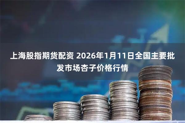 上海股指期货配资 2026年1月11日全国主要批发市场杏子价格行情